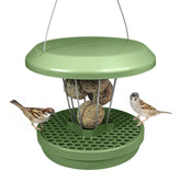 SWISSINNO Bird Feeder Sage model front view with integrated seed catcher tray