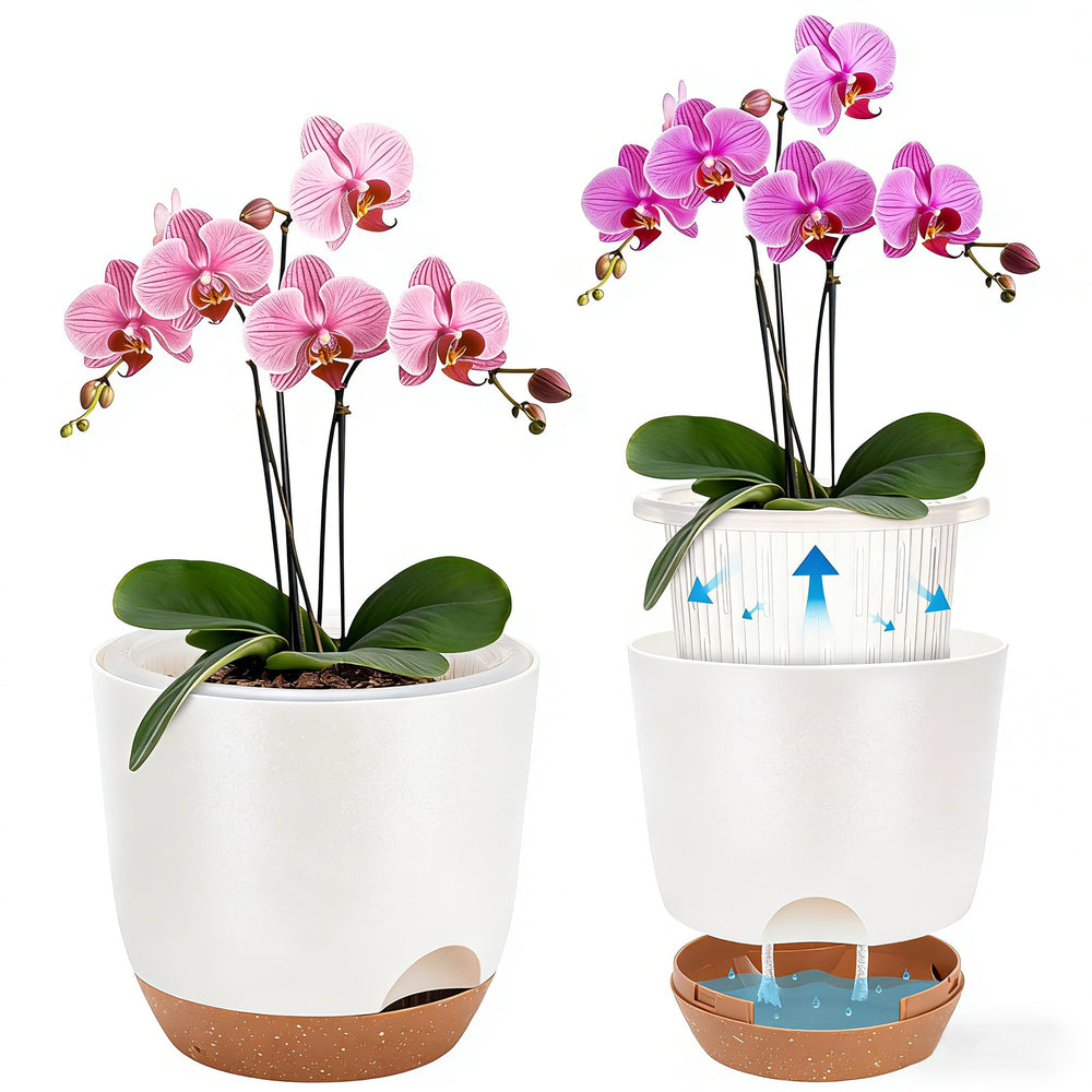 Sxueg Self Watering Orchid Pot 5.8 Inch white front view