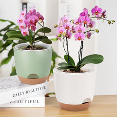 Sxueg Self Watering Orchid Pot showing water gauge