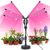 SYEIORAOM Six Head Grow Light front view with black finish