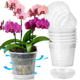 T4U Clear Orchid Pot 6.3 Inch front view with matching saucer