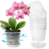 T4U Clear Orchid Pots 4.3 inch front view with matching saucers