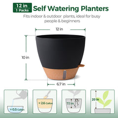 T4U Self Watering Pot 12 Inch Black with plants displayed in a living room
