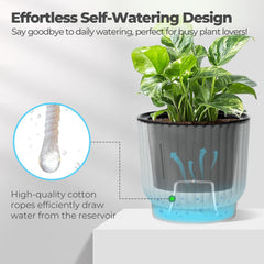T4U Self Watering Pot 7 Inch with plant inside