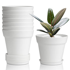T4U Small Plant Pots 4 Inch white with saucers front view