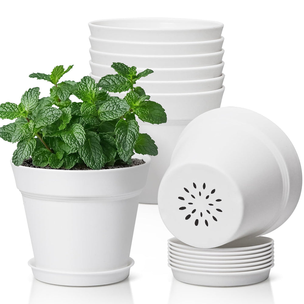 T4U Small Plant Pots 5 Inch White front view with matching saucers