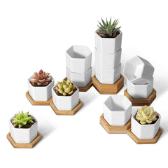 T4U Small Succulent Pots hexagon design in white