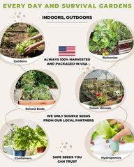 Tactiko Vegetable Seed Kit with mini planting tools included