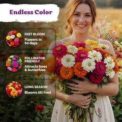 Tall zinnia plants with vibrant flowers in garden