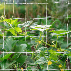 Tcamp trellis netting rolled up with packaging