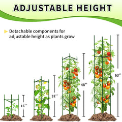 TCBWFY tomato cage supporting a growing tomato plant