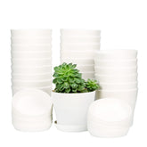 TDHDIKE 10 Pcs Plastic Planters set with white finish