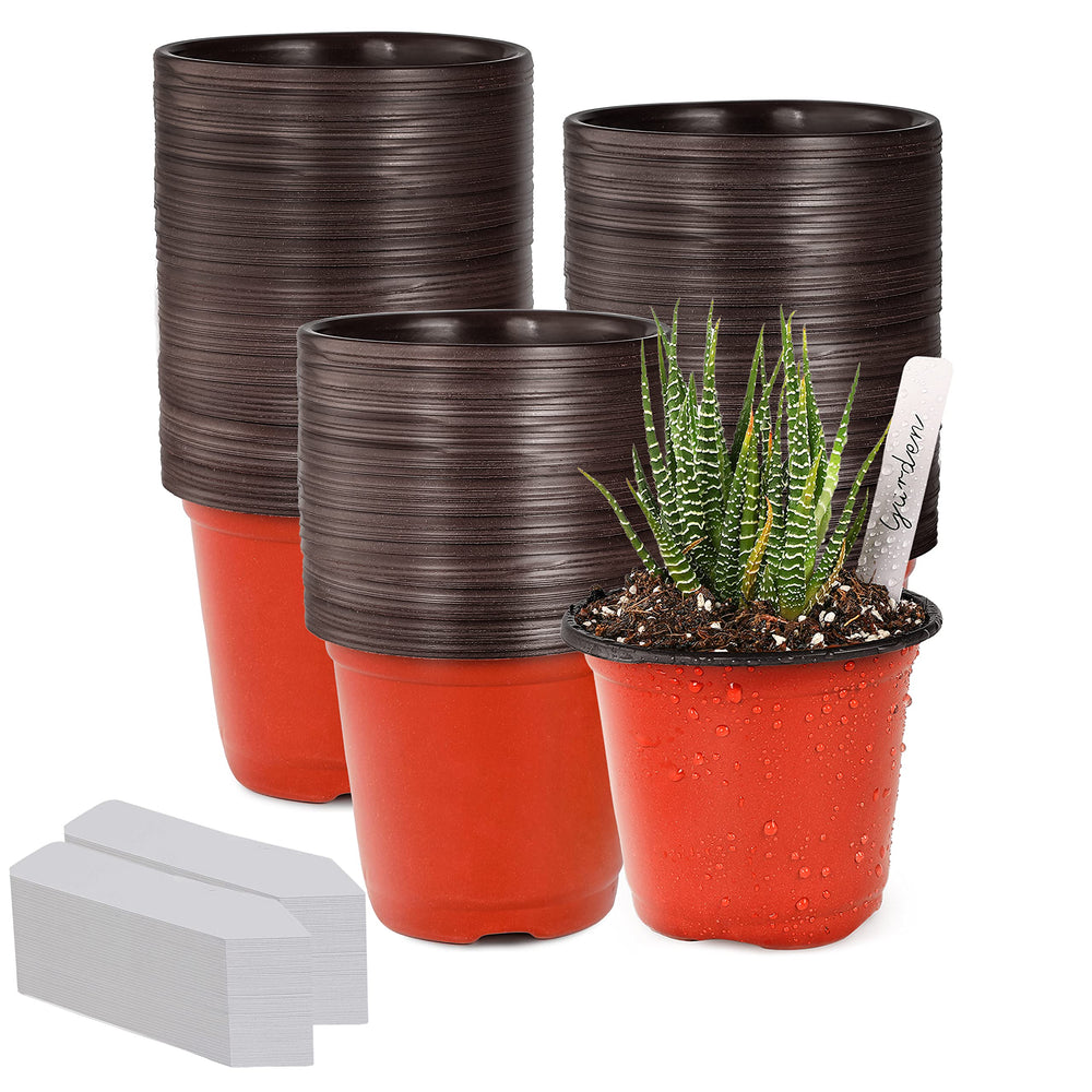 TDHDIKE 4-inch red seed starter pots front view