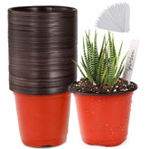 TDHDIKE 4-inch small plastic plant nursery pots set with labels
