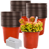 TDHDIKE 6-inch plastic nursery pots with labels in red
