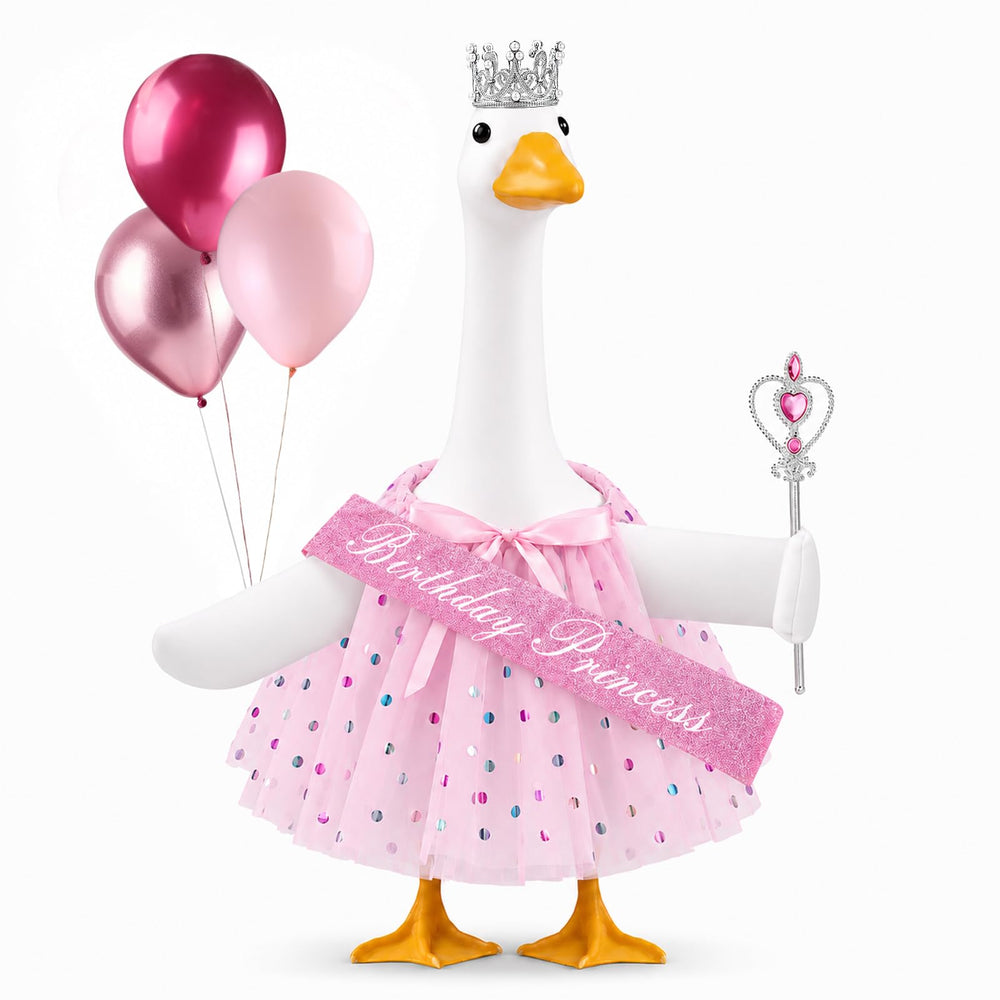 Teeanzo Birthday Princess Goose Outfit front view with crown and tutu
