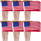 Tegeme 100 pack mini American flags on sticks, front view