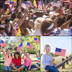 Tegeme mini American flags with gold finials on sticks