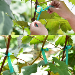 TELENT OUTDOORS Garden Tie Tape being used on climbing plants