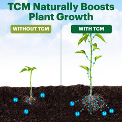 TeraGanix TCM Soil Conditioner in garden setting