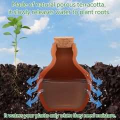 Terracotta olla watering pot showing water level