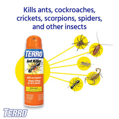 Terro Ant Killer Spray 2 pack with packaging displayed