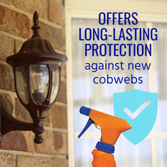 Terro Cobweb Eliminator Spray usage demonstration outdoors