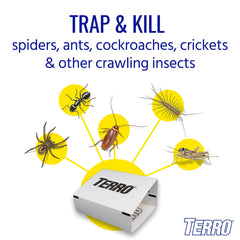 Terro sticky traps folded into concealed box