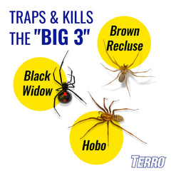 Terro sticky traps laid flat for maximum catch area