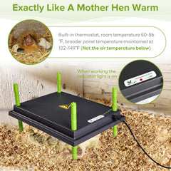 Tetuga Brooder Heat Plate showing built-in thermostat