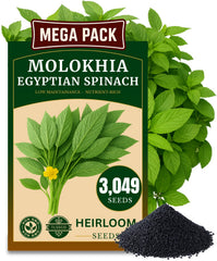 The Lucky Stars Egyptian Spinach Seeds pack front view
