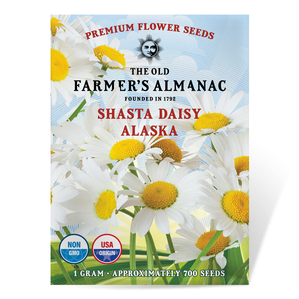 The Old Farmer's Almanac Daisy Seeds packet front view