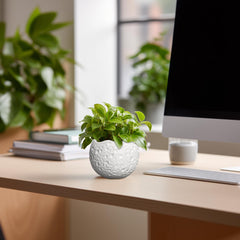 Thirtypot 4 Inch Ceramic Plant Pot with decorative design