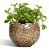 Thirtypot 4 inch speckled-brown ceramic plant pot front view