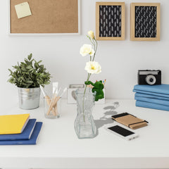 Three IVTLIF VVV Elephant Plant Cutting Holders on a desk