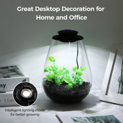 Tideme Mini Glass Plant Terrarium with LED grow light on table