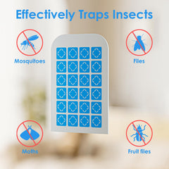 TIENBE glue card packaging with 24 cards included