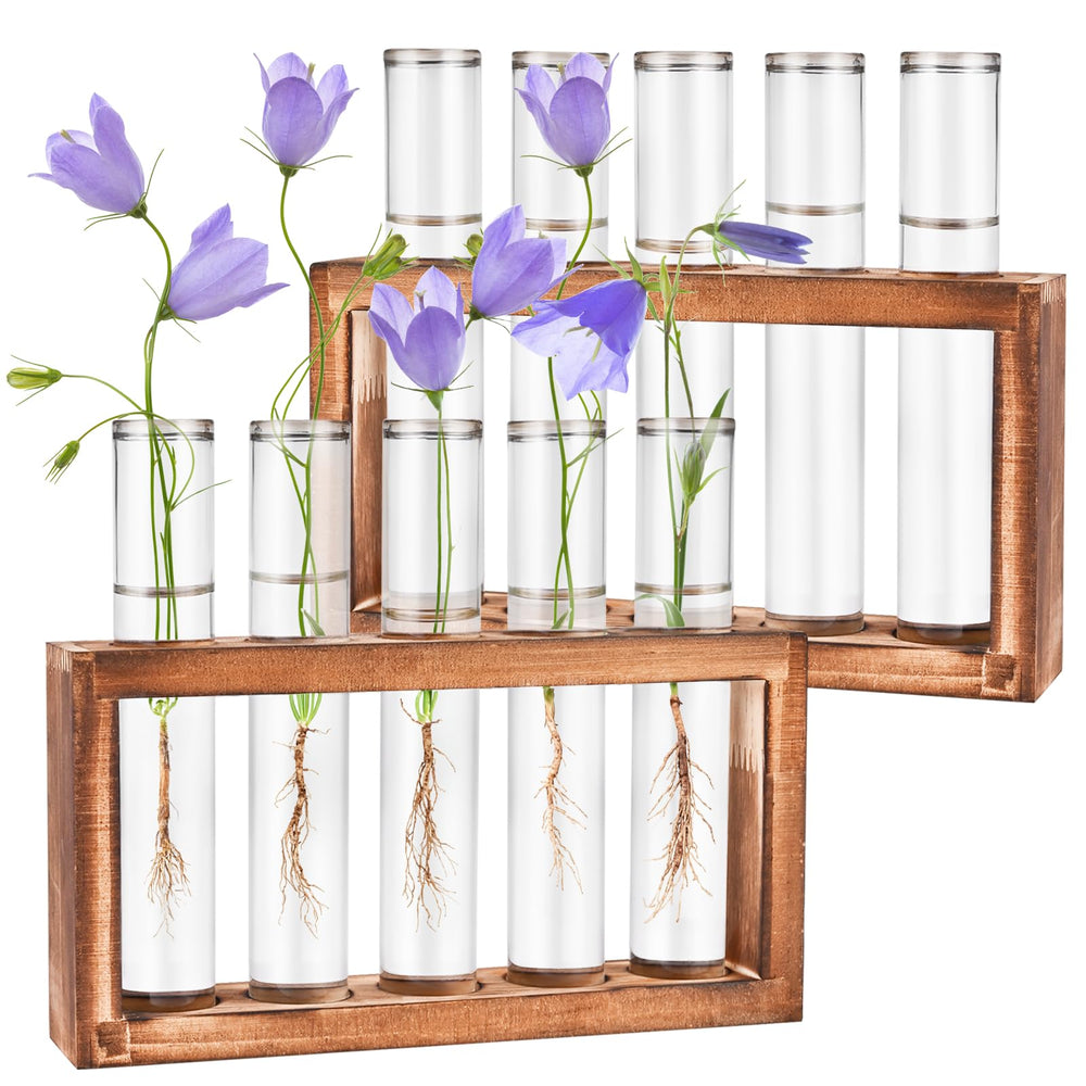Tigvio Desktop Glass Plant Propagation Station with 10 clear tubes