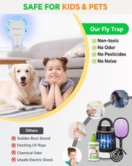 Tihilgam Indoor Fly Trap in a dark room