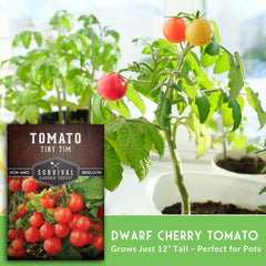 Tiny Tim Tomato Seeds packaging with seed details
