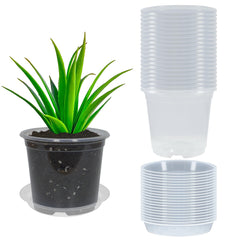 TNTIWQ 6 Inch Clear Nursery Pot front view