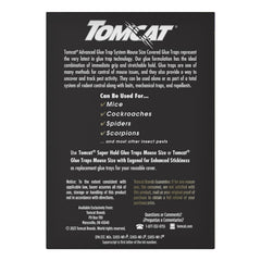 Tomcat glue trap showing professional-strength adhesive surface