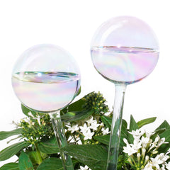 Tomorotec Rainbow Glass Plant Watering Globe front view
