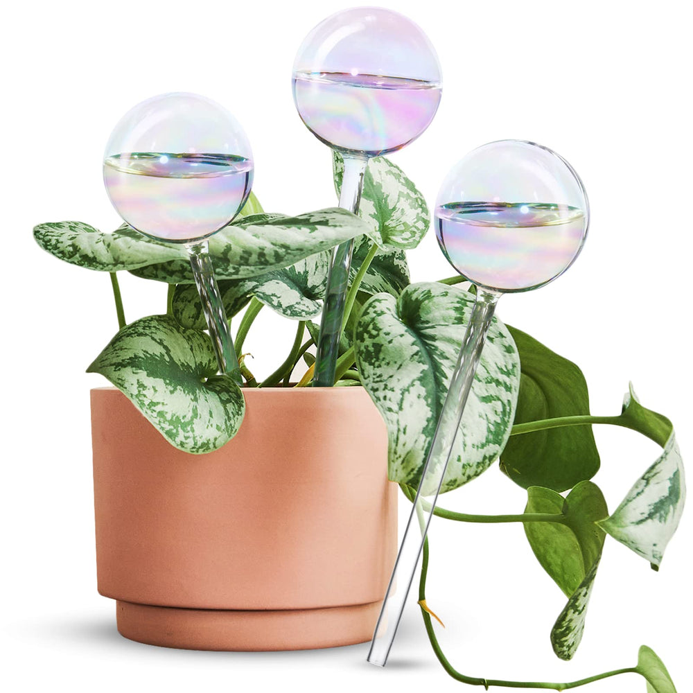 Tomorotec Rainbow Glass Watering Globe front view, iridescent finish