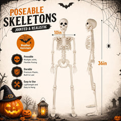 Toolterritary 36 inch Halloween skeleton decoration front view