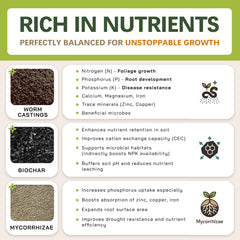 Top Tier Genetics AROID Soil Blend in a potted plant setup