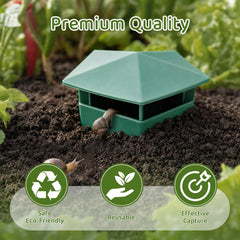 Top view of Beslands Plastic Box