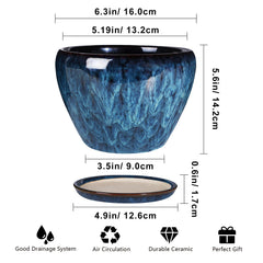 Top view of Ceramicfor Blue Succulent Planter Pot