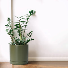 Top view of D'vine Dev 8.2 Inch Ceramic Planter showing its round shape.