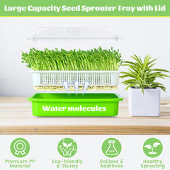 Top view of microgreens growing in Legigo sprouter trays